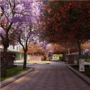 DLF Camellias - Boulevard